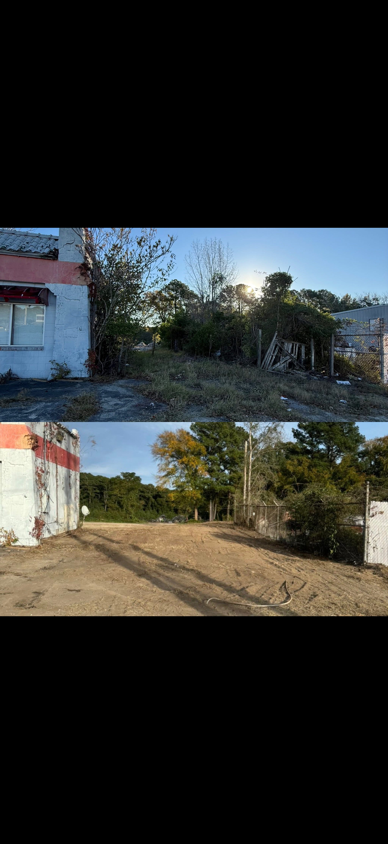 Before and after — overgrown lot cleared
